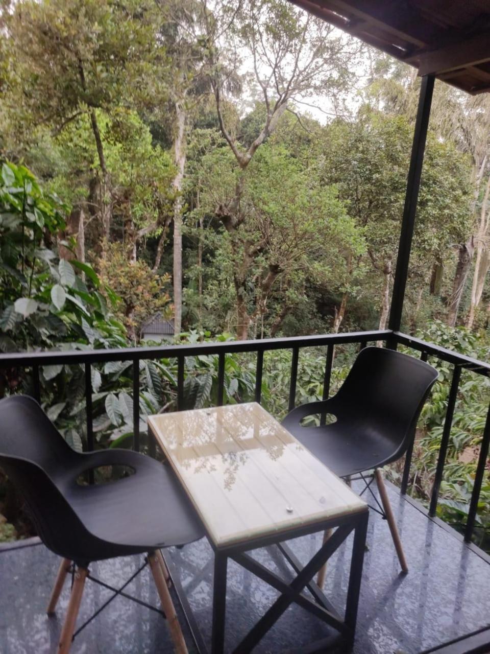 Hotel Misty Rain Estate Madikeri Esterno foto