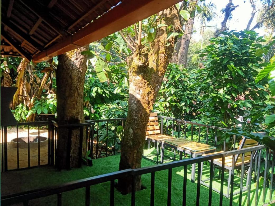 Hotel Misty Rain Estate Madikeri Esterno foto