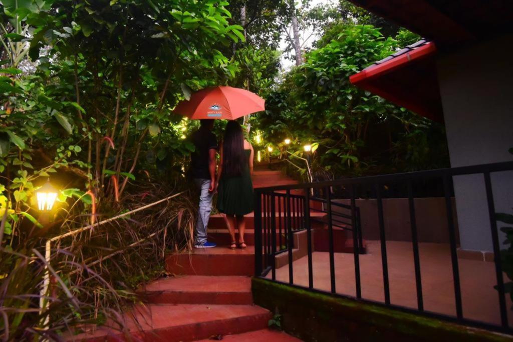 Hotel Misty Rain Estate Madikeri Esterno foto