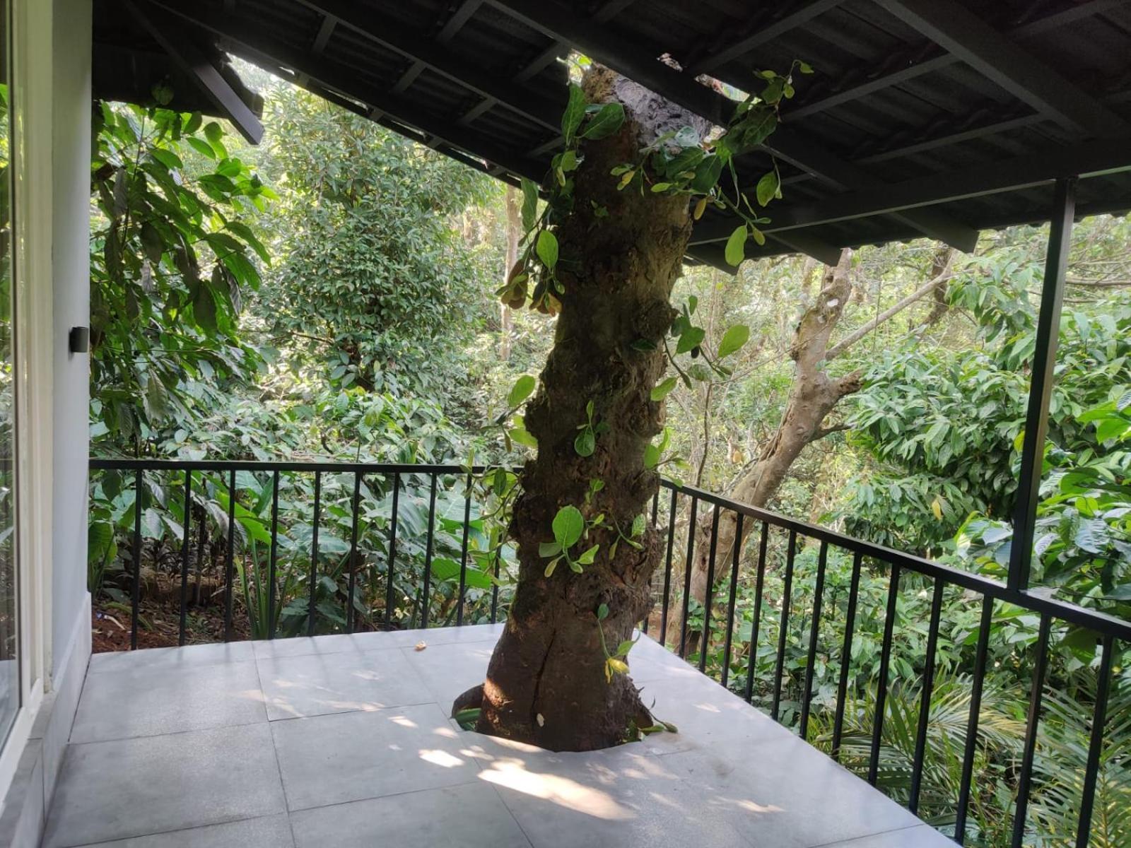 Hotel Misty Rain Estate Madikeri Esterno foto