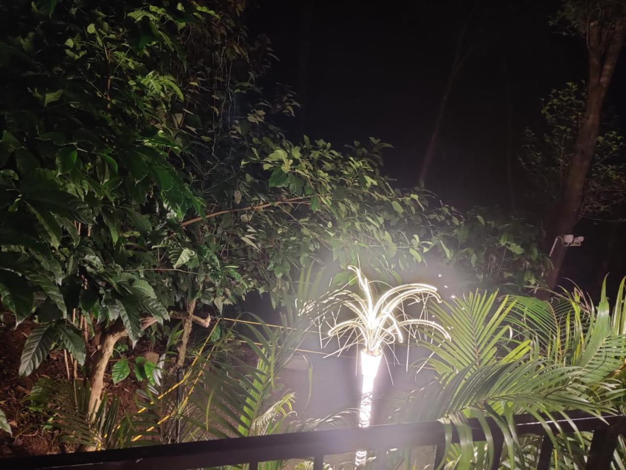 Hotel Misty Rain Estate Madikeri Esterno foto